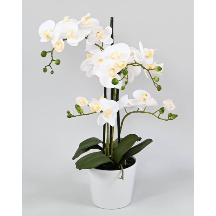 Künstliche Phalaenopsis Orchidee, ca 70cm, weiss
