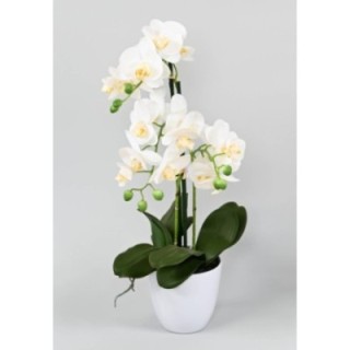 Künstliche Phalaenopsis Orchidee, ca 60cm, weiss