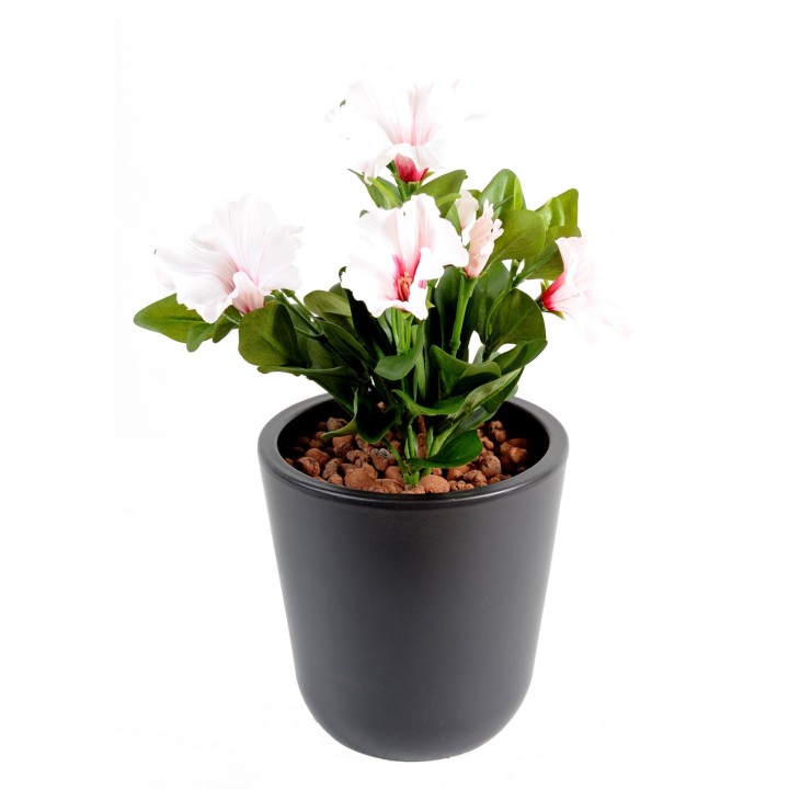 Künstliche Petunie, ca 25cm, Weiss-Rosa