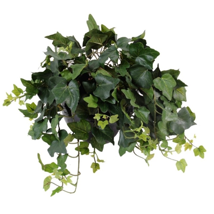 Künstliche Efeu Hängepflanze, ca. 50cm
