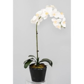 Künstliche Phalaenopsis Orchidee, ca 60cm, weiss