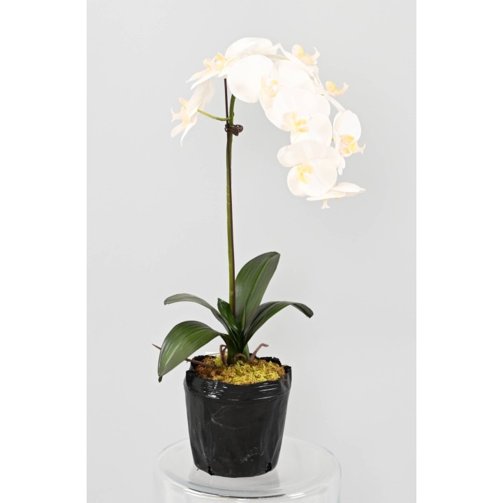 Künstliche Phalaenopsis Orchidee, ca 85cm, weiss