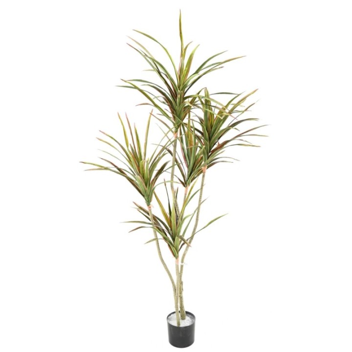 Künstliche Dracaena, ca. 190cm hoch, grün