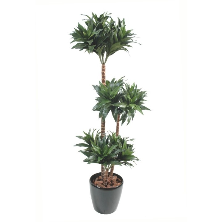 Künstliche Dracaena Fragans Compacta, ca. 90cm hoch, grün