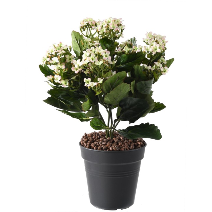 Künstliche Kalanchoe, 25cm, hellrosa