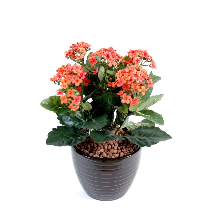 Künstliche Kalanchoe, 25cm, rosa