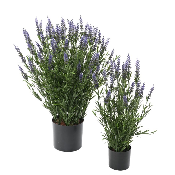 Lavendel Topf, UV-beständig, 68cm, lila