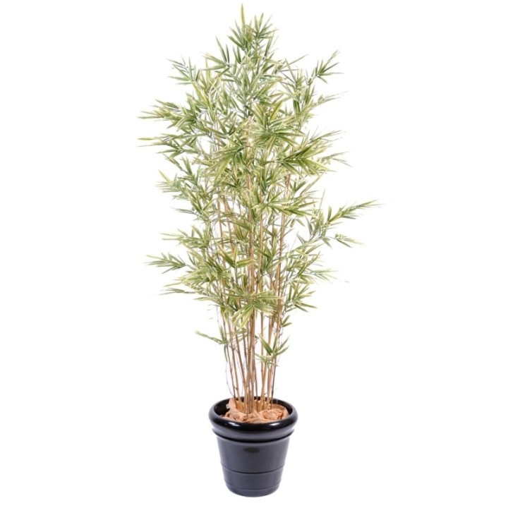 Künstlicher Shiroshima Bambus, ca. 165cm hoch, bunt