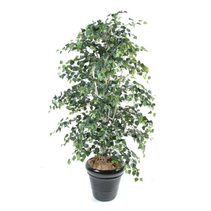 Künstliche Birke, ca. 210cm hoch, grün