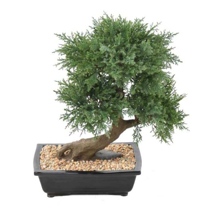 Künstlicher Bonsai Juniperus, ca. 55cm hoch, grün