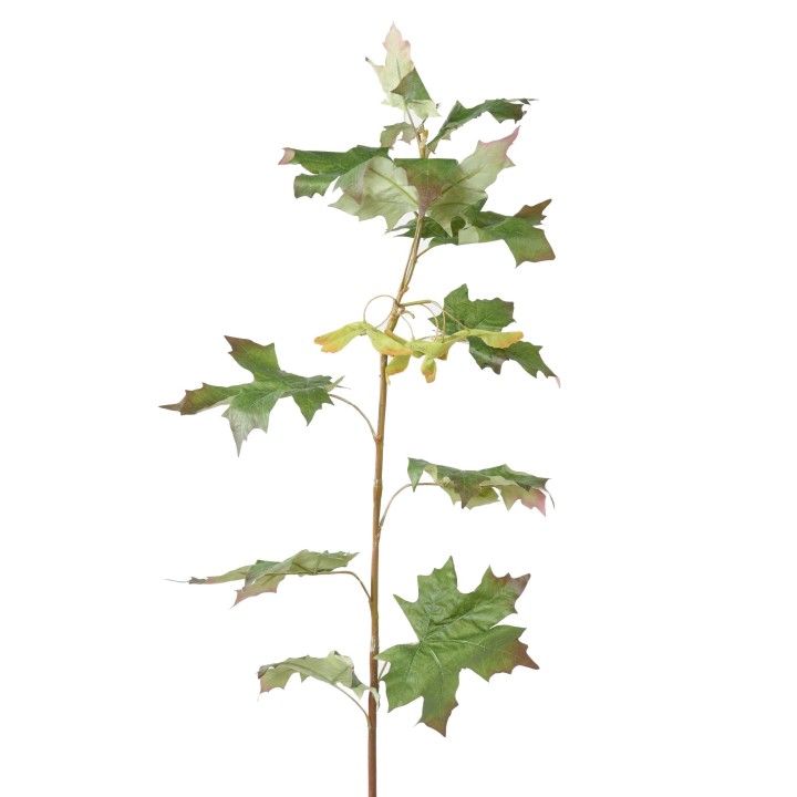 Künstlicher Ahornzweig, ca 108cm, grün