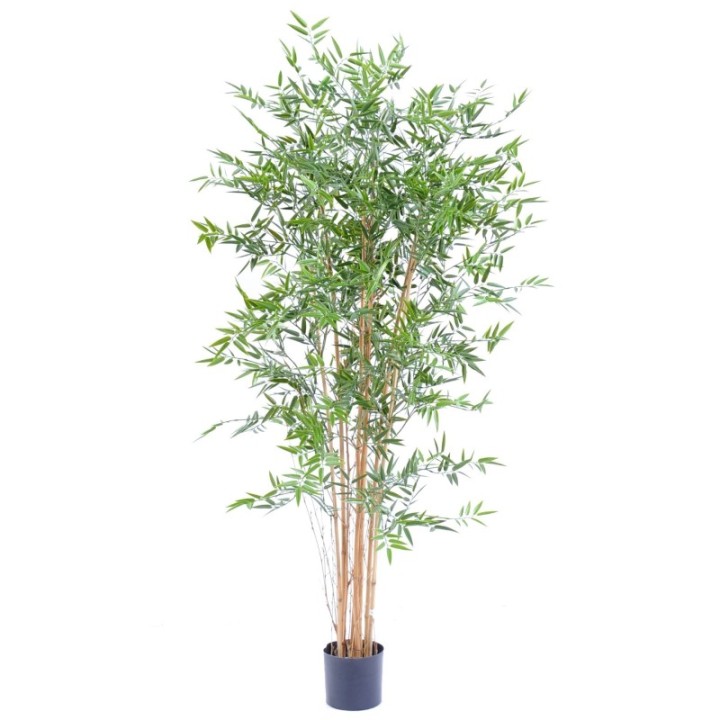 Künstlicher Japanischer Bambus, ca 180cm - UV-beständig, grün