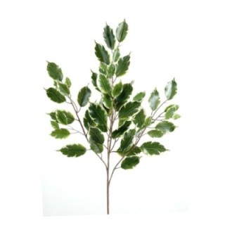 Künstlicher Ficus Zweig, ca 76cm, grün