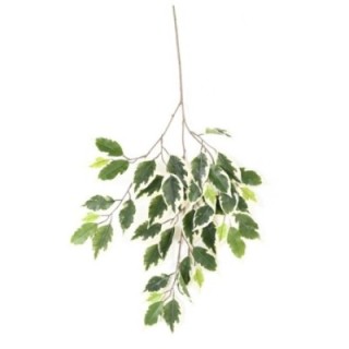 Künstlicher Ficus Zweig, ca 60cm, bunt