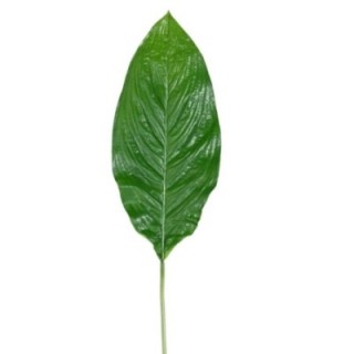 Künstlicher Riesenblattzweig, ca 105cm, grün