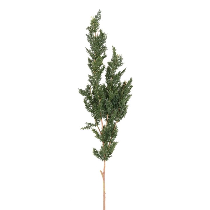Künstlicher Thuja Zweig, ca 120cm, grün