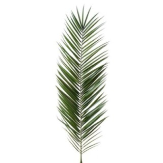 Künstlicher Canariensis Palmzweig, ca 150cm, grün
