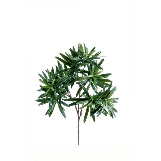 Künstlicher Podocarpus Zweig, ca 35cm, grün