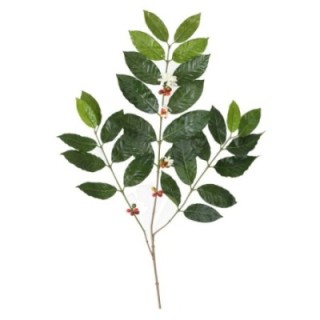 Künstlicher Kaffeebaum Zweig, ca 80cm, grün