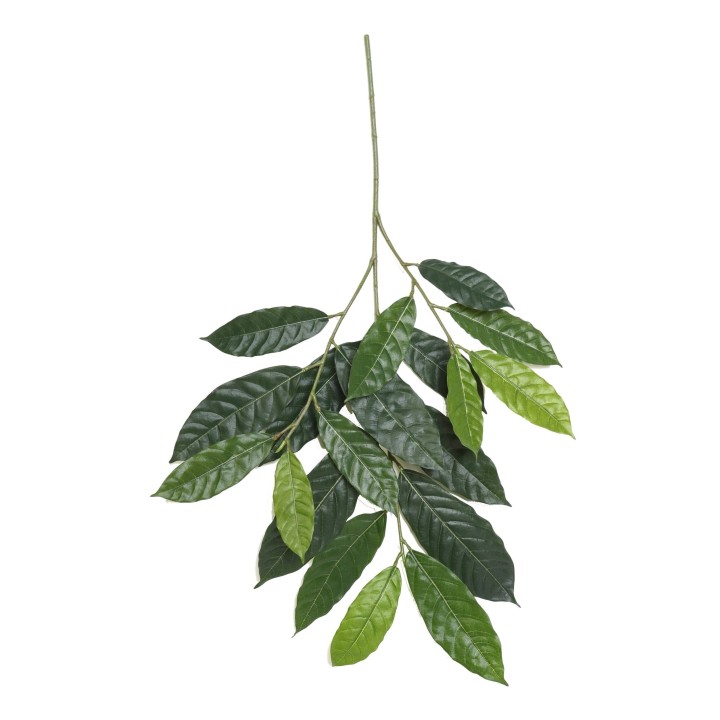 Künstlicher Cacao Blattzweig, ca 85cm, grün