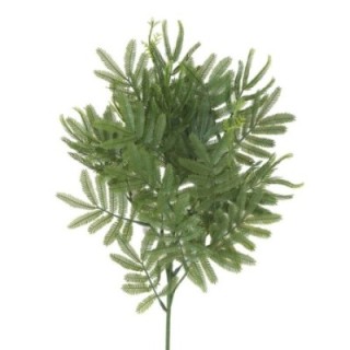 Künstlicher Tamarindenzweig, ca 60cm, grün