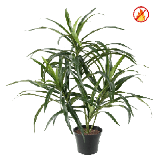 Künstliche Dracaena Anita, ca. 45cm, Schwer entflammbar nach B1/RF2
