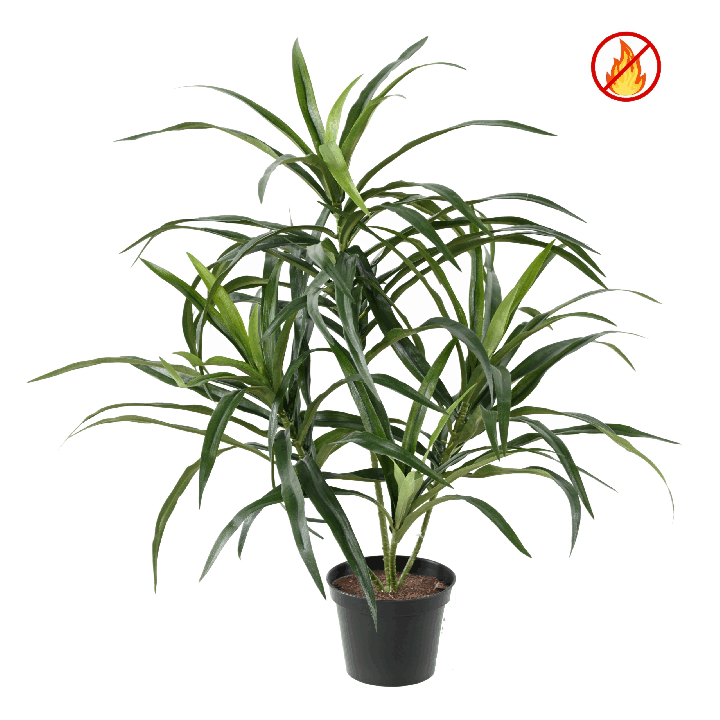 Künstliche Dracaena Anita, ca. 45cm, Schwer entflammbar nach B1/RF2