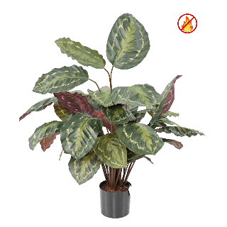 Künstliche Calathea, ca. 70cm - Schwer entflammbar nach B1/RF2