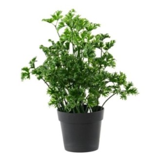 Künstliche Petersilie: UV-beständig & pflegeleicht
