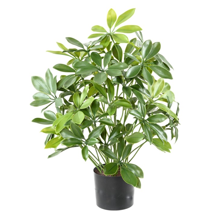 Künstliche Schefflera, 50cm hoch, UV-beständig, grün