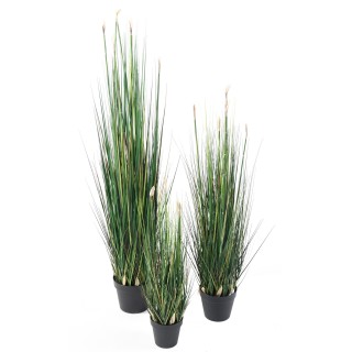 Künstlicher Presle: Pflegeleichte Deko für Ihr Zuhause