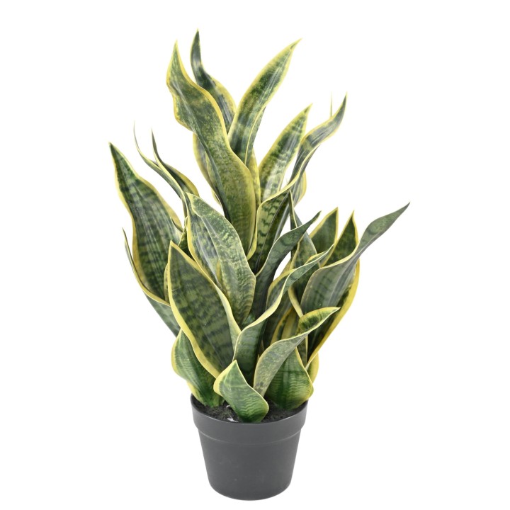 Künstliche Sansevieria Masoniana, 66cm hoch, grün