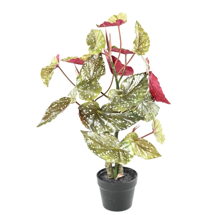 Künstliche Begonie: Pflegeleichte Deko für Ihr Zuhause