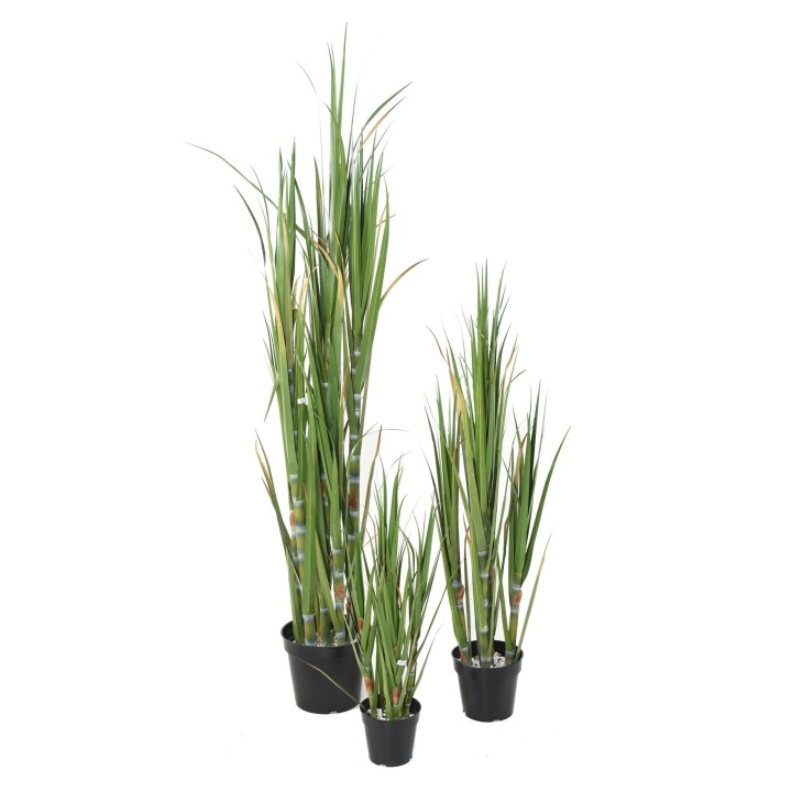 Künstlicher Zuckerstangenbaum, 75cm hoch, grün