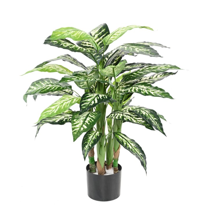 Künstliche Dieffenbachia, 80cm hoch, pflegeleicht