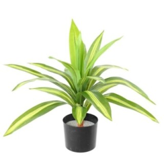 Künstliche Dracaena: Pflegeleichte Eleganz für Ihr Zuhause