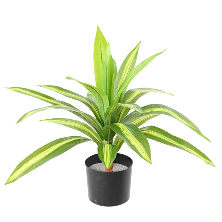 Künstliche Dracaena: Pflegeleichte Eleganz für Ihr Zuhause