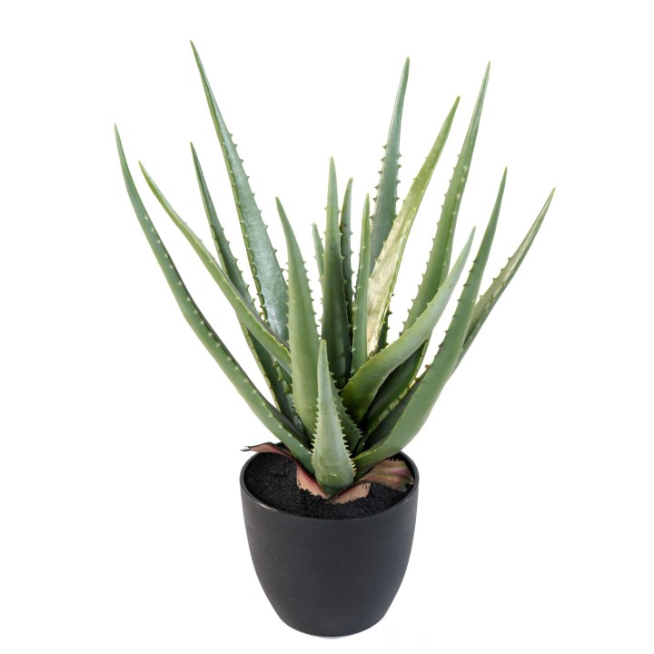 Künstliche Aloe Vera, 48cm hoch, pflegeleicht und grün