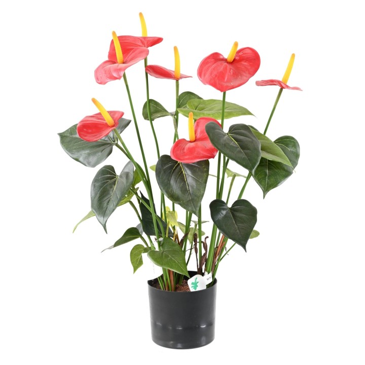 Künstliche Anthurie: Elegante Deko für Ihr Zuhause