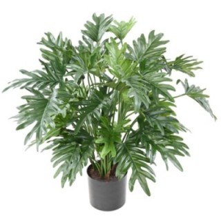 Künstlicher Philodendron Selloum, 75cm hoch, grün