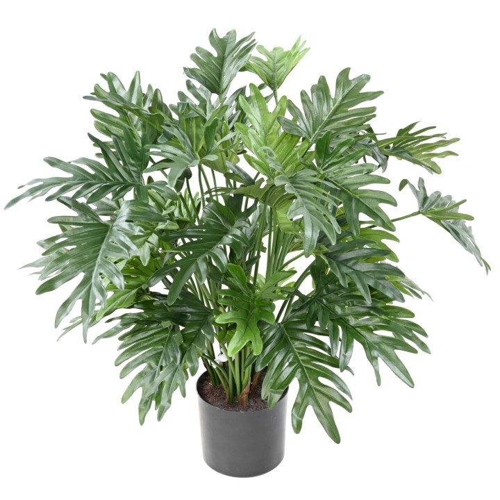Künstlicher Philodendron Selloum, 75cm hoch, grün