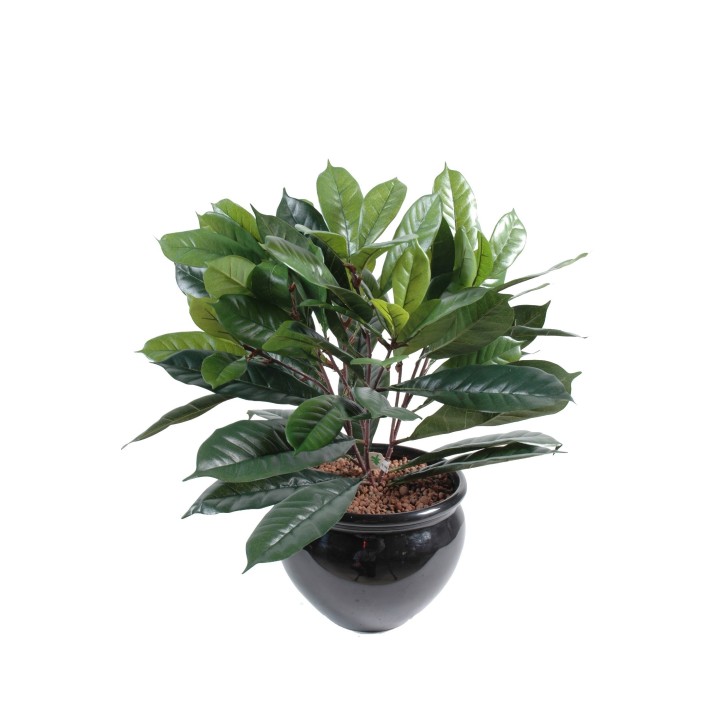 Künstlicher Cyathistipula, 50cm hoch, grün - Pflegeleicht!