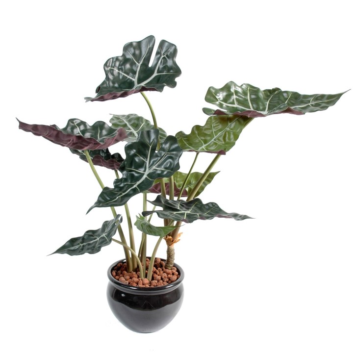 Künstliche Alocasia: Tropisches Flair für Ihr Zuhause