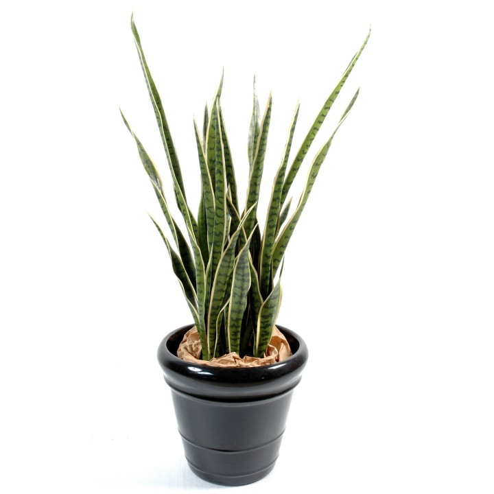 Künstliche Sansevieria, 110cm hoch, pflegeleicht und grün