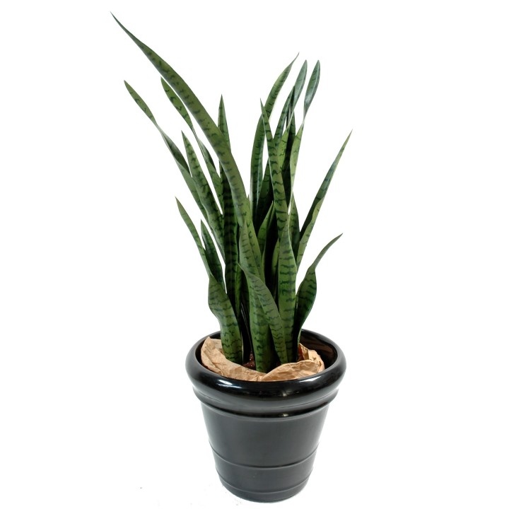 Künstliche Sansevieria, 110cm hoch, pflegeleicht und grün