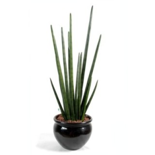 Künstliche Sansevieria, 90cm hoch, pflegeleicht, grün