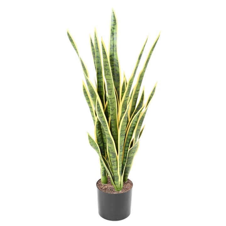 Künstliche Sansevieria, 85cm hoch, pflegeleicht & grün