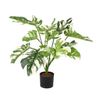 Künstlicher Philodendron, 75cm hoch, grün und pflegeleicht