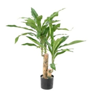 Künstliche Dracaena: Pflegeleichte Raumdekoration