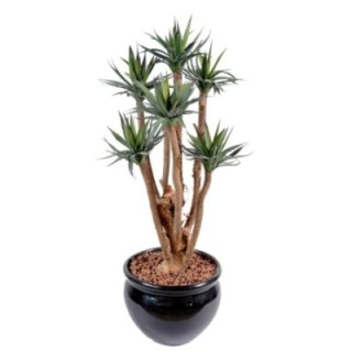 Künstliche Agave: Pflegeleichte Deko für Ihr Zuhause